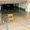 Đà Nẵng khẩn trương khắc phục thiệt hại do bão số 5 gây ra