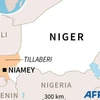 Tấn công thánh chiến tại Niger, khiến 11 người thiệt mạng