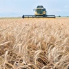 WTO kêu gọi cải cách các quy định về thương mại nông nghiệp