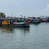 Khắc phục thẻ vàng IUU: Kiểm soát tàu cá vi phạm vùng biển nước ngoài