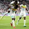 Link xem trực tiếp Ecuador-Senegal tranh vé vòng 1/8 World Cup 2022