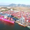 BR-VT đặt mục tiêu 75 triệu tấn hàng hóa thông qua cảng biển mỗi năm