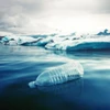 Nghiên cứu về nguồn gốc của rác thải nhựa tại Bắc Cực