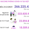 [Infographics] Tình hình tiêm vaccine phòng COVID-19 tại Việt Nam