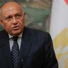 Ngoại trưởng Ai Cập thăm Thổ Nhĩ Kỳ và Syria lần đầu sau 1 thập kỷ