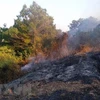 Kon Tum: Cháy rừng tại huyện Sa Thầy, hai người tử vong