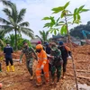 Số người thiệt mạng trong vụ lở đất tại Indonesia tăng lên 30 người