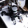 Chế tạo robot có não dựa trên đặc tính sinh học của côn trùng