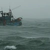 Khẩn trương tìm kiếm ngư dân mất tích trên vùng biển Bình Thuận