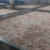 Bắc Ninh tiêu hủy hơn 7 tấn lòng lợn chưa qua sơ chế, bốc mùi hôi thối
