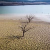 Tây Ban Nha trải qua tháng 3 ấm và khô hạn tồi tệ thứ hai trong thế kỷ