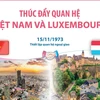 [Infographics] Thúc đẩy quan hệ giữa Việt Nam và Luxembourg