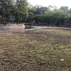Những vết nứt nẻ tại lòng hồ trong công viên Bách Thảo (Hà Nội). (Ảnh: Đinh Thuận/TTXVN)