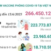 [Infographics] Cập nhật tình hình tiêm vaccine COVID-19 tại Việt Nam