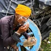 ​Gần 100 người tử vong do nắng nóng khắc nghiệt tại Ấn Độ