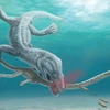 Phát hiện mới về nguyên nhân tuyệt chủng của "quái vật' biển cổ dài 