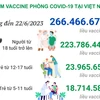 [Infographics] Tình hình tiêm vaccine COVID-19 tại Việt Nam ngày 23/6