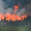 Canada ghi nhận lượng khí CO2 cao kỷ lục do cháy rừng từ đầu năm