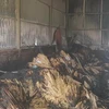 Ninh Bình: Cháy lớn tại xưởng sản xuất bông lau, thiệt hại 1 tỷ đồng