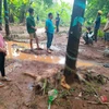 Bình Phước: Qua cầu khi mưa lớn, một người dân bị nước lũ cuốn trôi