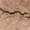 Đắk Nông: Sớm xác định nguyên nhân nứt gãy, sạt lở đất tại Tuy Đức