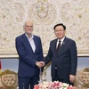 Chủ tịch Quốc hội tiếp Chủ tịch Hội hữu nghị Iran-Việt Nam 