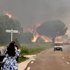 Hơn 3.000 người phải sơ tán khẩn cấp do cháy rừng tại Pháp
