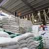 Giá gạo trên thị trường thế giới vẫn chưa có dấu hiệu giảm