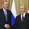 Lãnh đạo Nga và Thổ Nhĩ Kỳ sắp điện đàm về thỏa thuận ngũ cốc