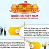 Quốc hội Việt Nam tích cực tham gia Diễn đàn Nghị sỹ Trẻ Toàn cầu