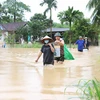 Các tỉnh từ Thanh Hóa đến Hà Tĩnh chủ động ứng phó với mưa lớn