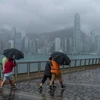 Hong Kong triển khai hàng loạt biện pháp ứng phó với bão Koinu
