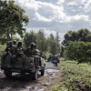 CHDC Congo: Giao tranh bùng phát trở lại sau 6 tháng tạm lắng