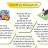[Infographics] Đại hội đại biểu Người Công giáo Việt Nam
