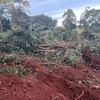 Quảng Bình: Xử lý vi phạm phá rừng, lấn chiếm đất lâm nghiệp còn chậm