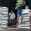 Giá gạo xuất khẩu của Ấn Độ ghi nhận giảm tuần thứ 5 liên tiếp