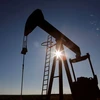 Giá dầu kéo dài đà giảm trong phiên 23/11. (Nguồn: Reuters)
