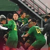 Đội bóng Thái Lan và Trung Quốc ‘hỗn chiến’ tại AFC Champions League