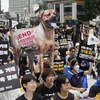 Phản đối ăn thịt chó ở Hàn Quốc. (Nguồn: AP)