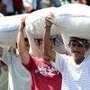 Người dân bốc xếp gạo từ nhà kho ở Tacloban, Philippines. (Ảnh: AFP/TTXVN)