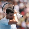 Novak Djokovic thành cựu vương Australian Open. (Nguồn: Getty Images)