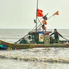 Mùng 3 Tết Nguyên đán, ngư dân các xã ven biển của huyện Quảng Xương đã tích cực bám biển, khai thác gần bờ để cung cấp nguồn thực phẩm tươi sống cho thị trường. (Ảnh: Hoa Mai/TTXVN)