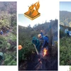 Nỗ lực chữa cháy rừng tại Vườn Quốc gia Hoàng Liên