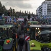 Nông dân Hy Lạp biểu tình kêu gọi hỗ trợ tài chính tại thủ đô Athens ngày 20/2/2024. (Ảnh: THX/TTXVN)