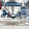 Công nhân kiểm tra hệ thống đường ống dẫn khí đốt tại nhà máy ở Hajduszoboszlo, Hungary. (Ảnh: AFP/TTXVN)