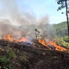 Hình ảnh một vụ cháy rừng. (Ảnh minh họa: TTXVN phát)