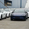 Tesla đã báo cáo giao 386.810 xe trên toàn cầu trong quý 1, giảm 8,5%. (Nguồn: CNBC)