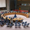 Quang cảnh một phiên họp Hội đồng Bảo an Liên hợp quốc. (Ảnh: THX/TTXVN)