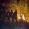 Đến 21 giờ ngày 30/4, đám cháy vẫn chưa được khống chế, các lực lượng tham gia chữa cháy đang tập trung phát đường băng cản lửa, không để đám cháy lan rộng. (Ảnh: TTXVN phát)