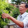 Anh hùng Lực lượng vũ trang nhân dân Nguyễn Quang Hạnh. (Ảnh: Nguyễn Lành/TTXVN)